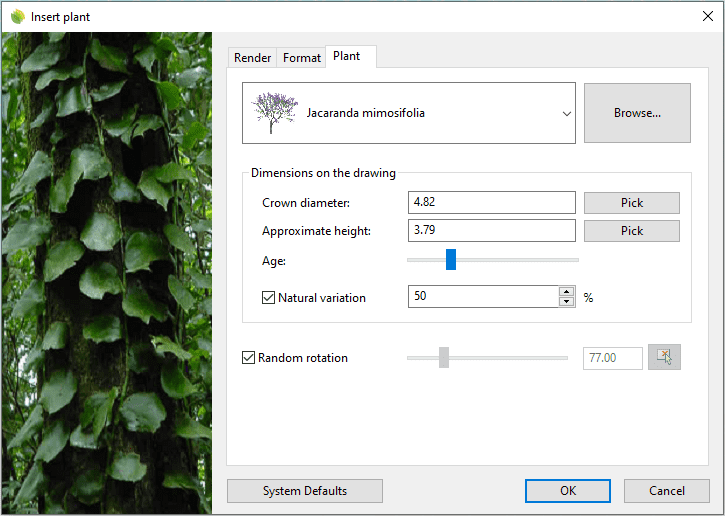 Insert dialog box for the Plant.